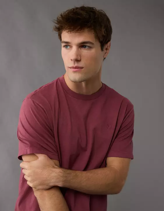 AE Logo Lived-In T-Shirt - Image 6