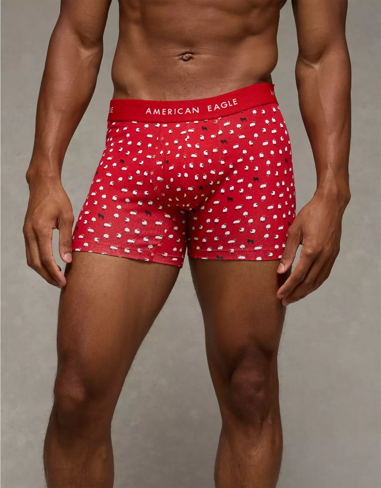 AEO Men's 4.5" Classic Boxer Brief