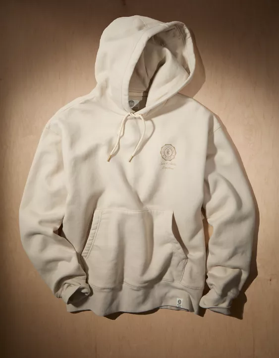 AE x Tru Kolors Heavyweight Graphic Hoodie - Image 3