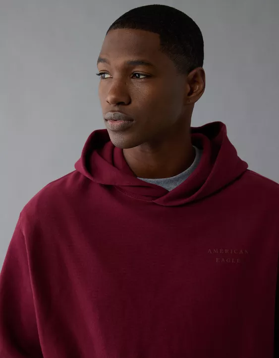AE Laidback Luxe Heavyweight Graphic Hoodie - Image 7