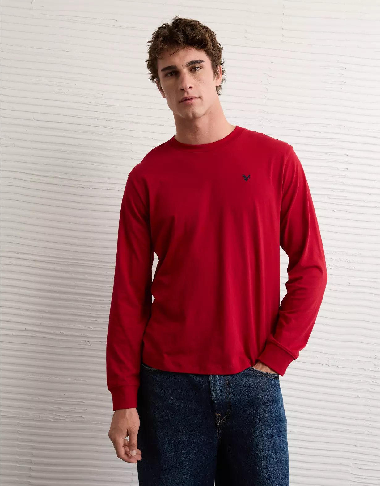 AE Lightweight Icon Long-Sleeve T-Shirt