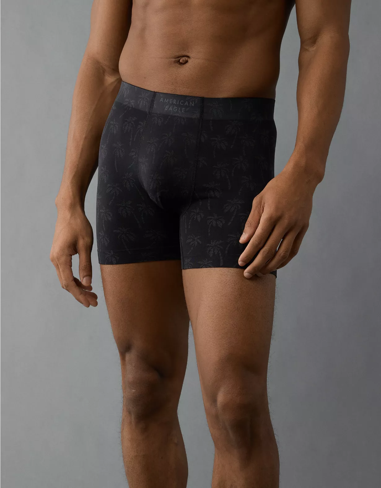 AEO Men's Palm Trees 4.5" StealthMode Boxer Brief