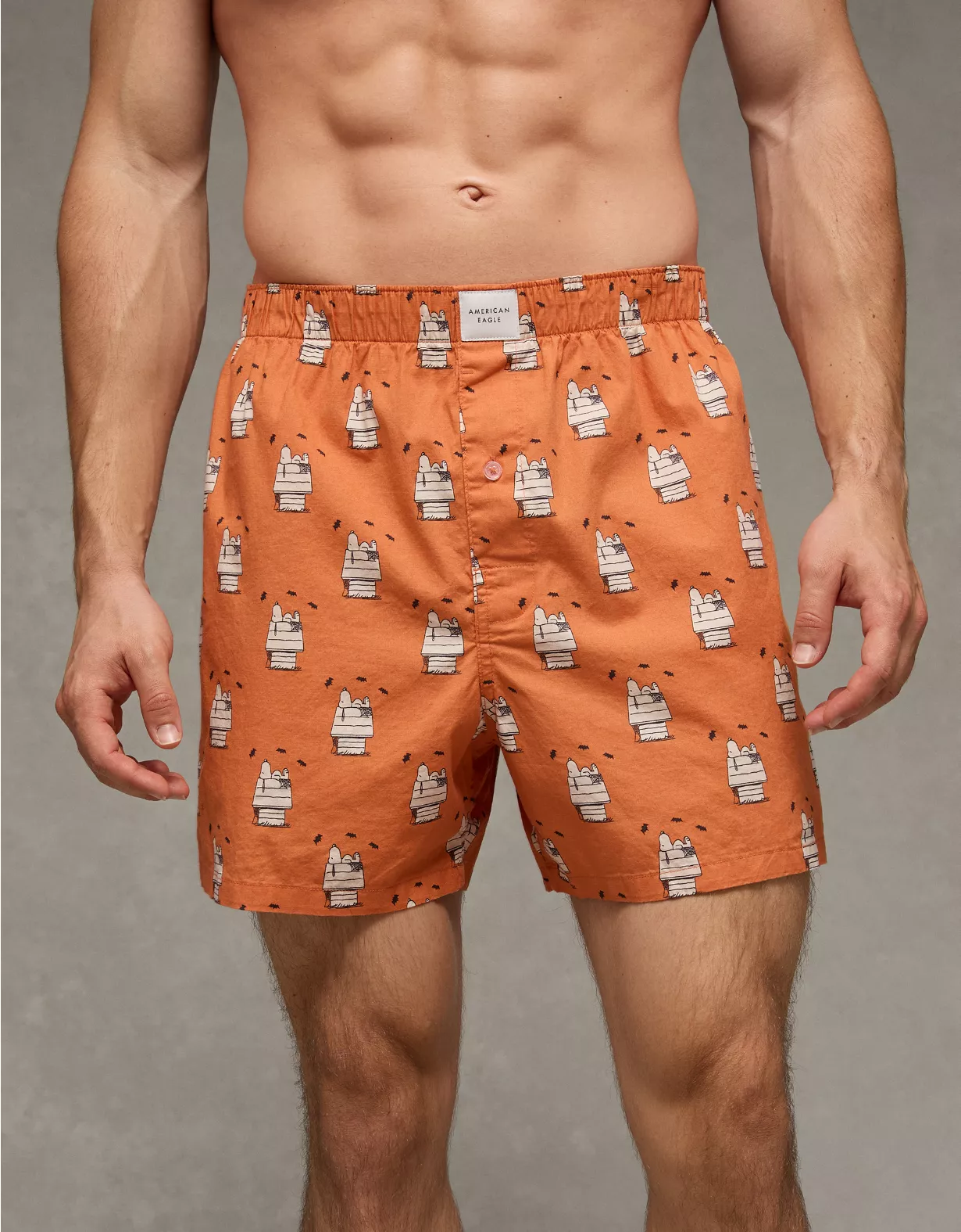 AEO Snoopy Cobweb Boxer Short